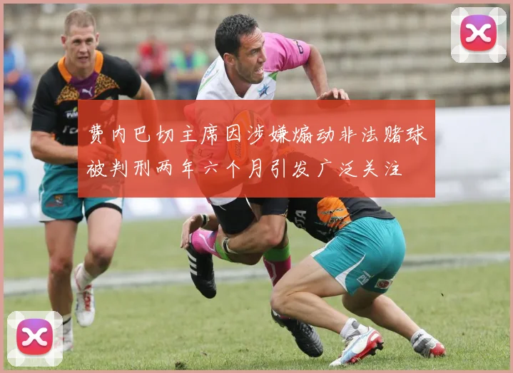 费内巴切主席因涉嫌煽动非法赌球被判刑两年六个月引发广泛关注