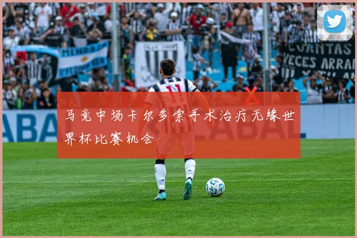 马竞中场卡尔多索手术治疗无缘世界杯比赛机会